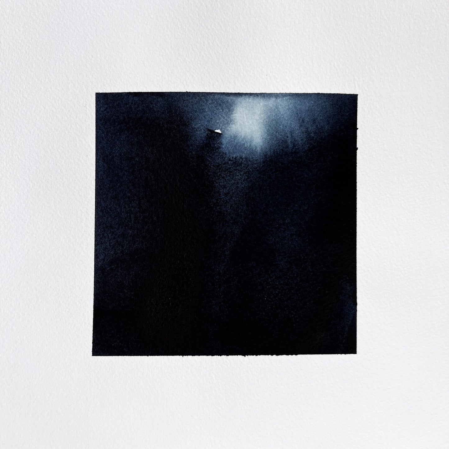 Study 117