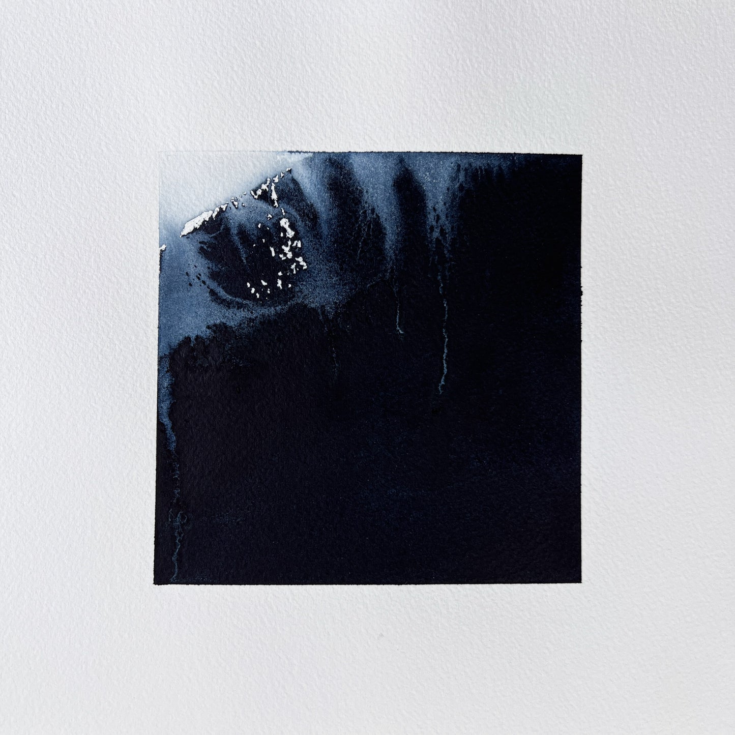Study 119