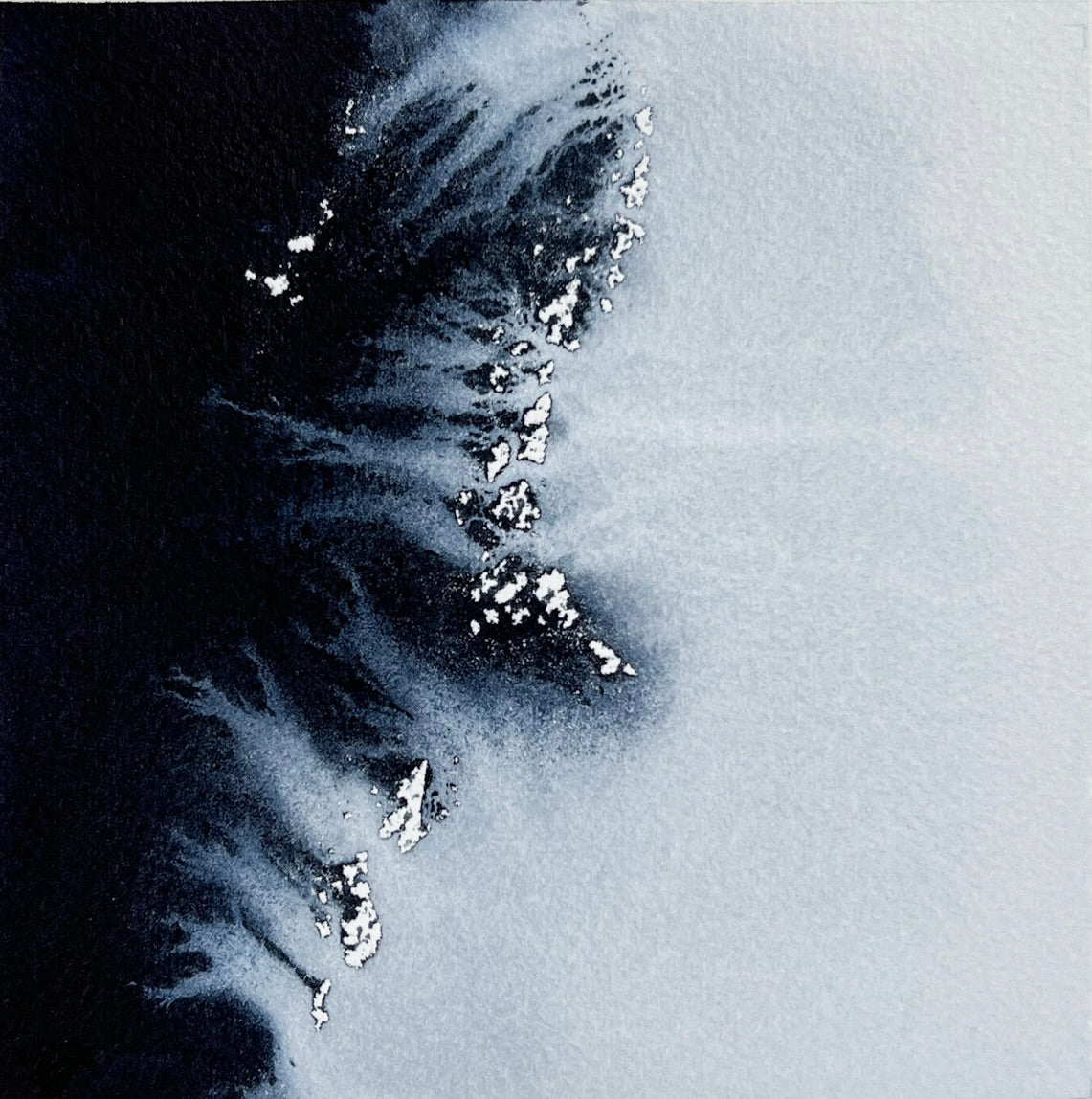 Study 81