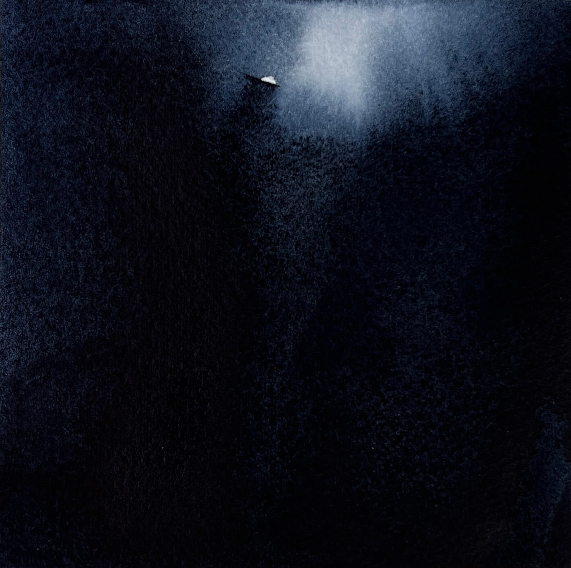 Study 117