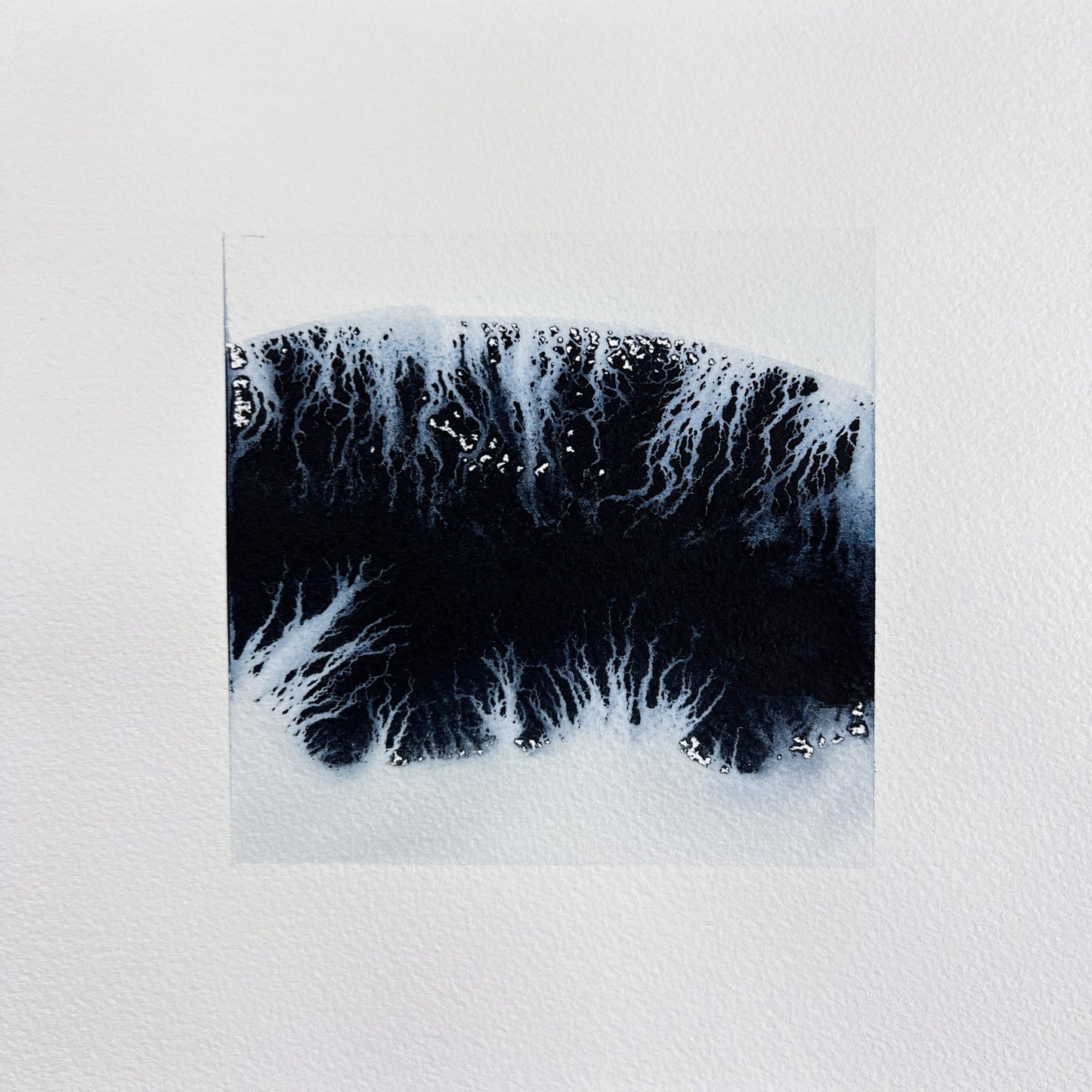 Study 124