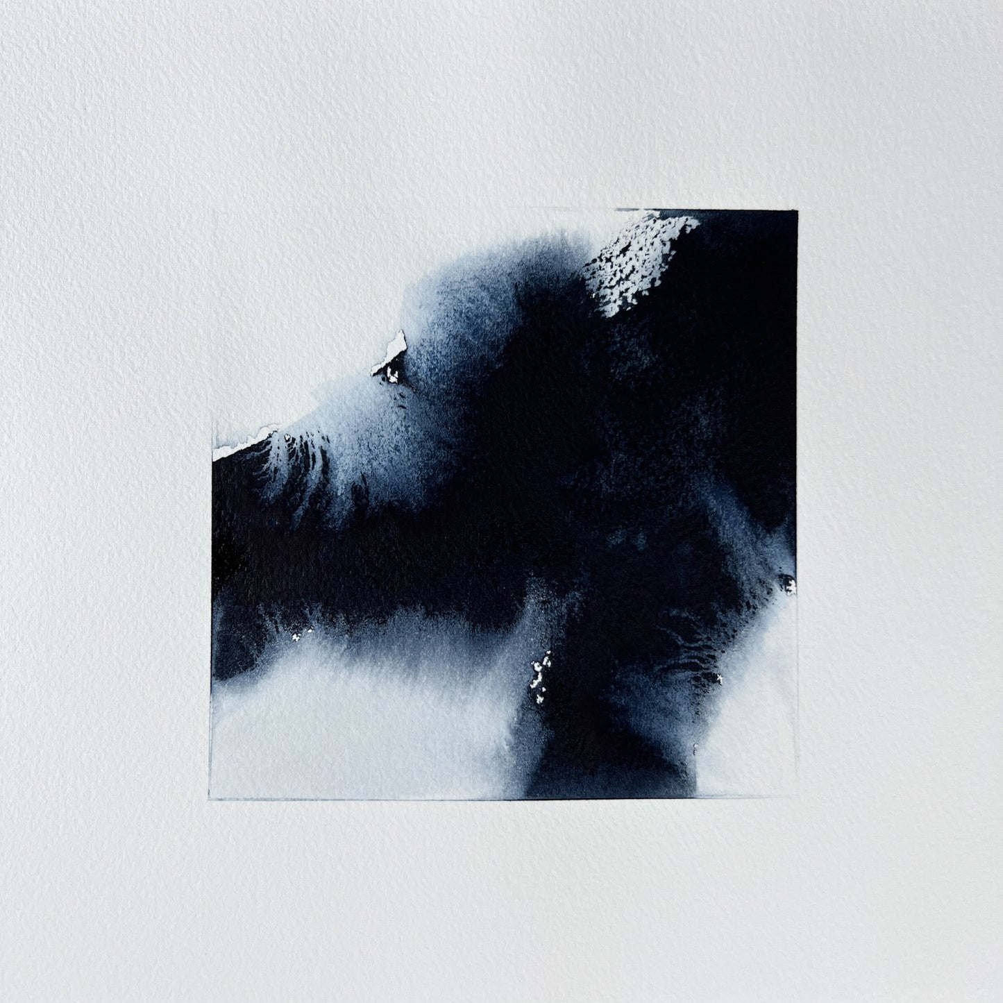Study 114