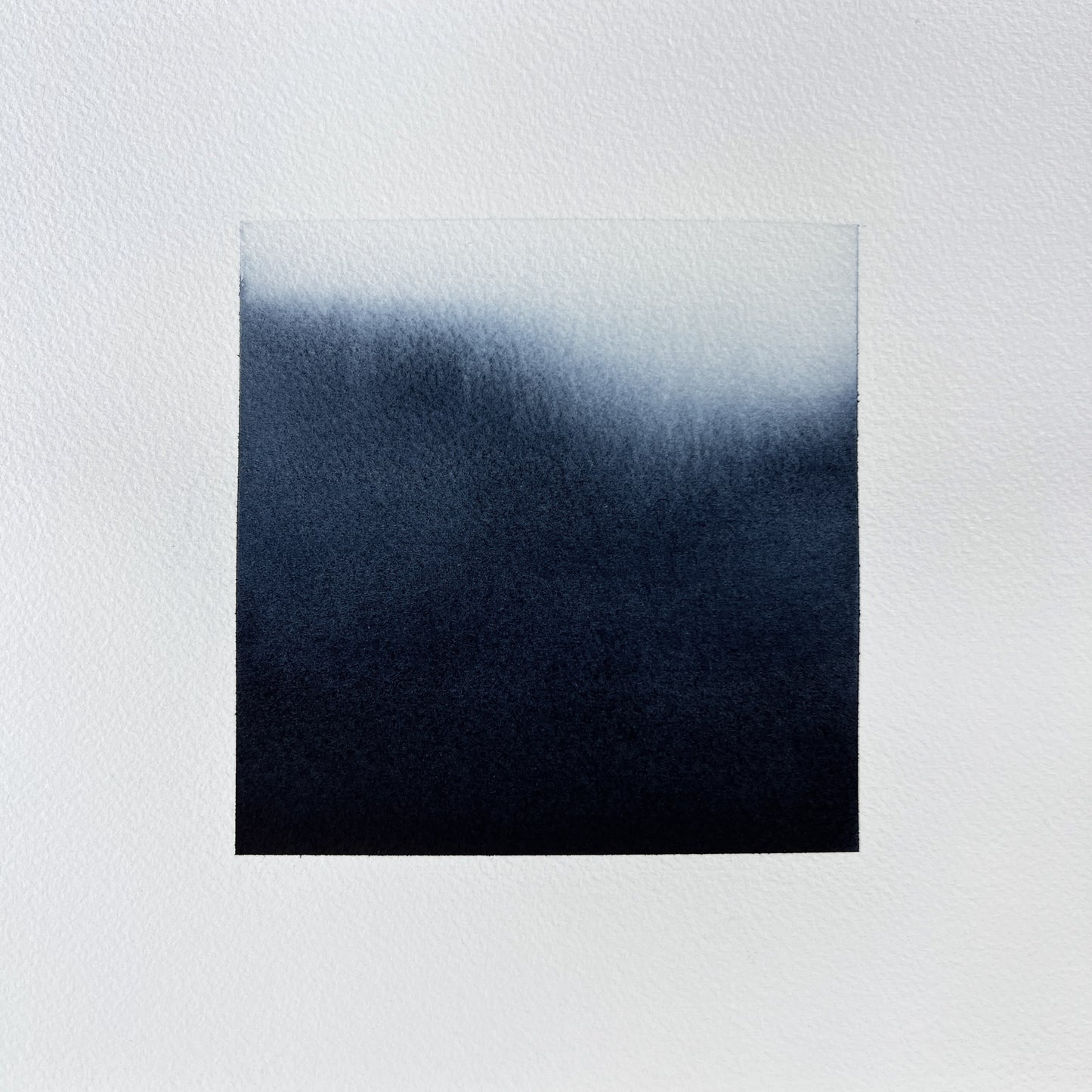 Study 83