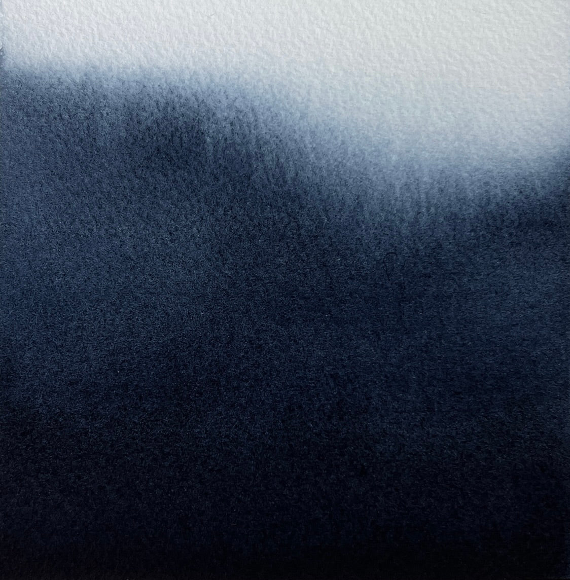 Study 83