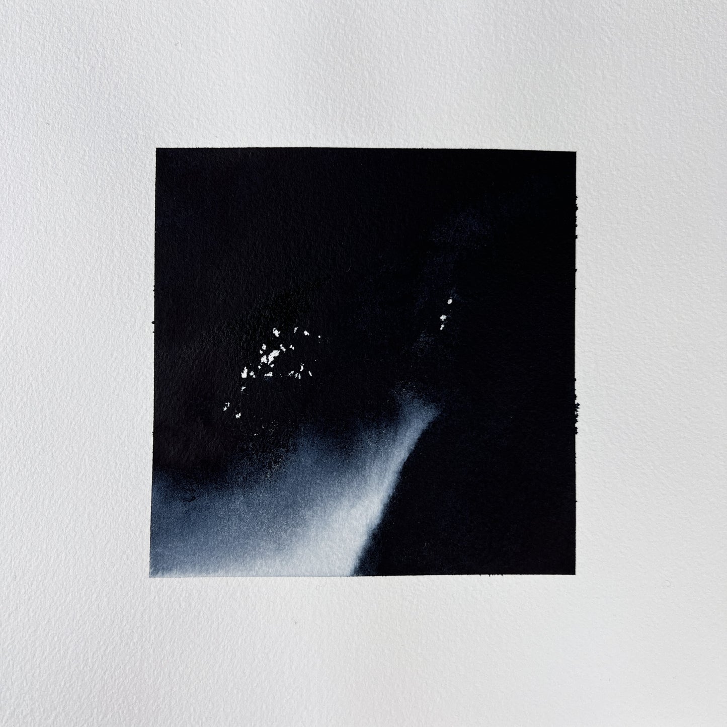 Study 115