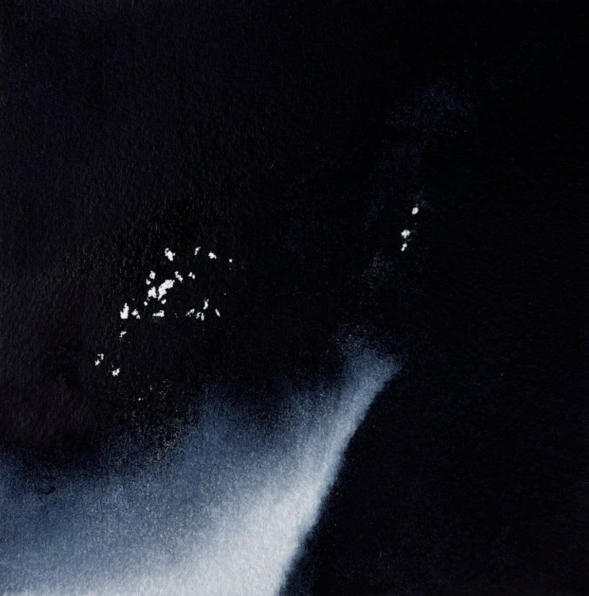 Study 115